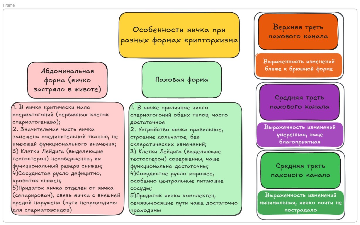 Оценка перспектив яичка