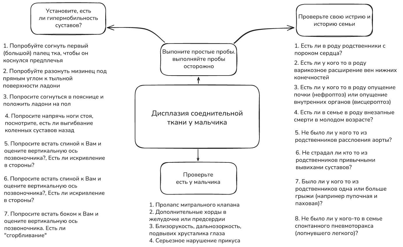 Признаки дисплазии соединительной ткани